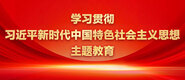 色色就去艹逼学习贯彻习近平新时代中国特色社会主义思想主题教育_fororder_ad-371X160(2)